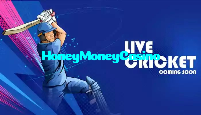 making first deposit on HoneyMoneyCasino website using local payment methods in Pakistan