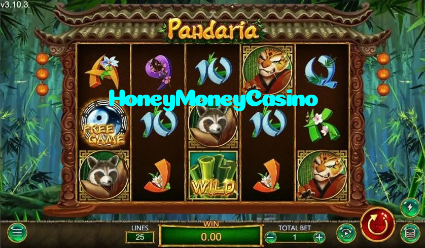 making first deposit on HoneyMoneyCasino website using local payment methods in Pakistan